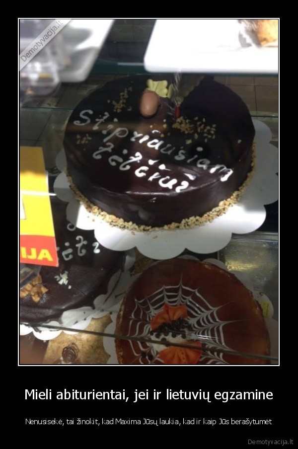 lietuviu, egzaminas,tevo, diena,tortas
