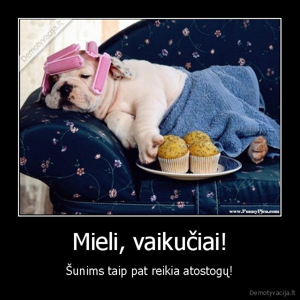 suo,atsotogos,bigdukai,keksiukai