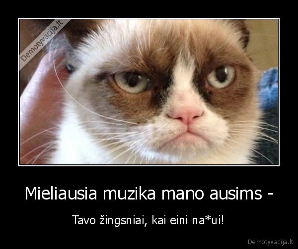 grumpy, cat,piktas, katinas,pasiunte, nahui