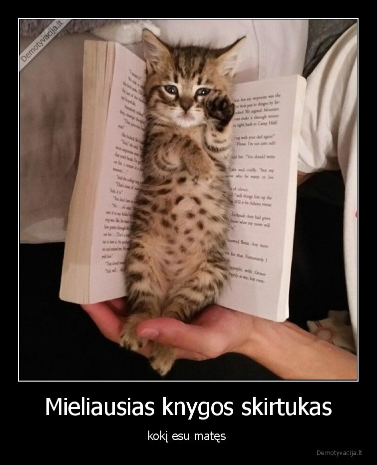 katinas,skirtukas,knyga