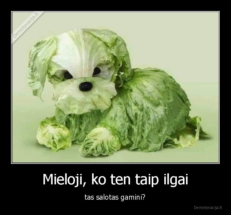 salotos,suniukas,menas