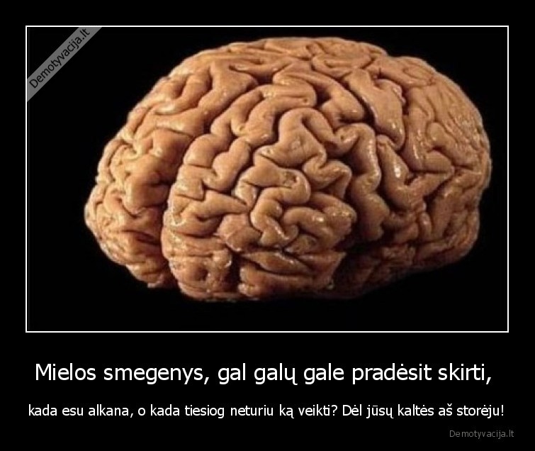 smegenys,uzknisa,kalte