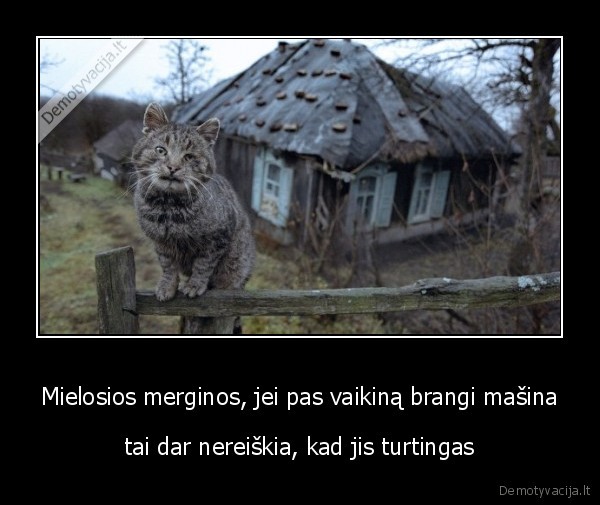 masina,vaikina,turtingas