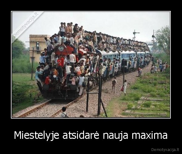 maxima, apie, viska, pagalvota