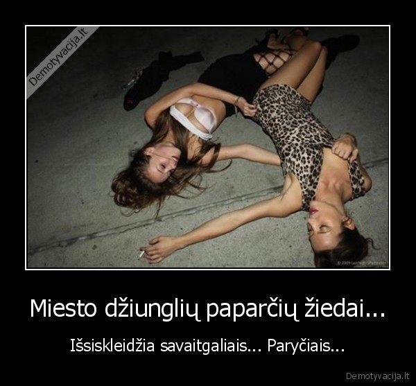 girta, mergina,alkoholis,miega, gatvej,paparcio, ziedas,jonines