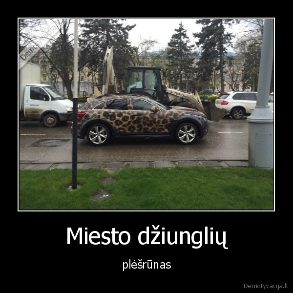 dziungles,automobilis