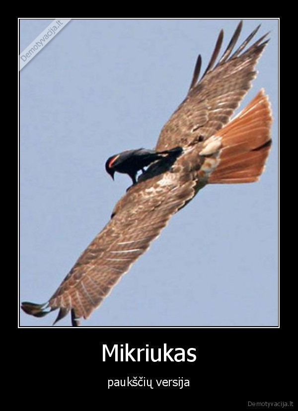 Mikriukas