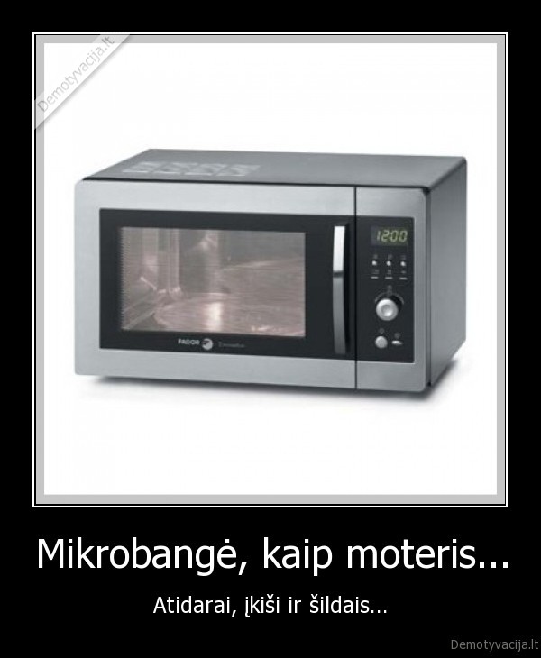 Mikrobangė, kaip moteris...