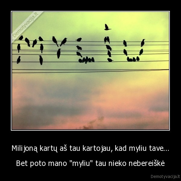 milijonas, kartu,istarti, myliu,prisipazinti, meilei,pauksciai, ant, laidu