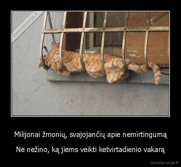 ketvirtadienis,nemirtingumas