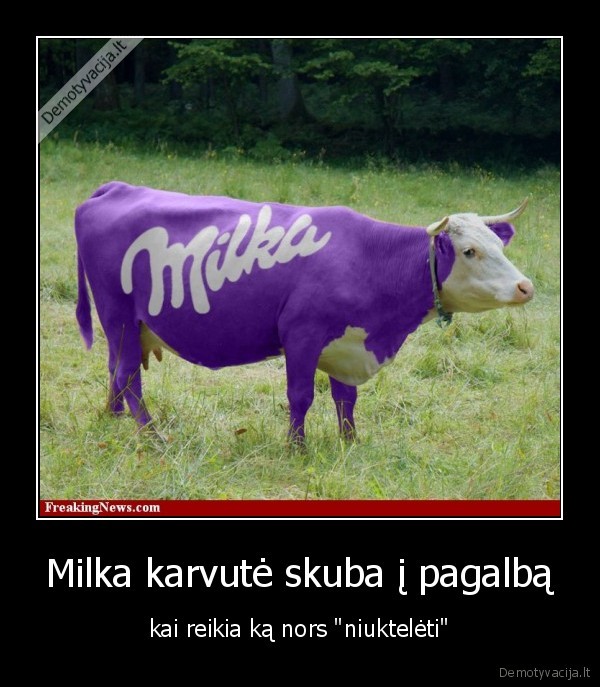 milka,karve,pagalba,reklama