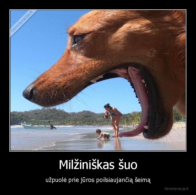 suo,uzpuole,seima,jura