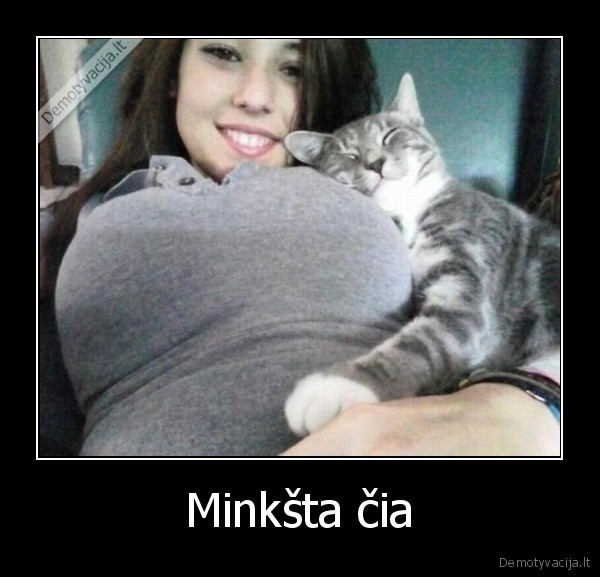 Minkšta čia