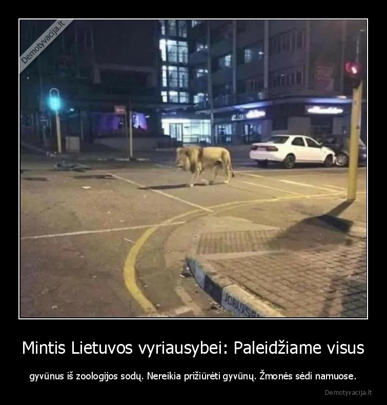 zoologijos,sodas,pandemija,problema