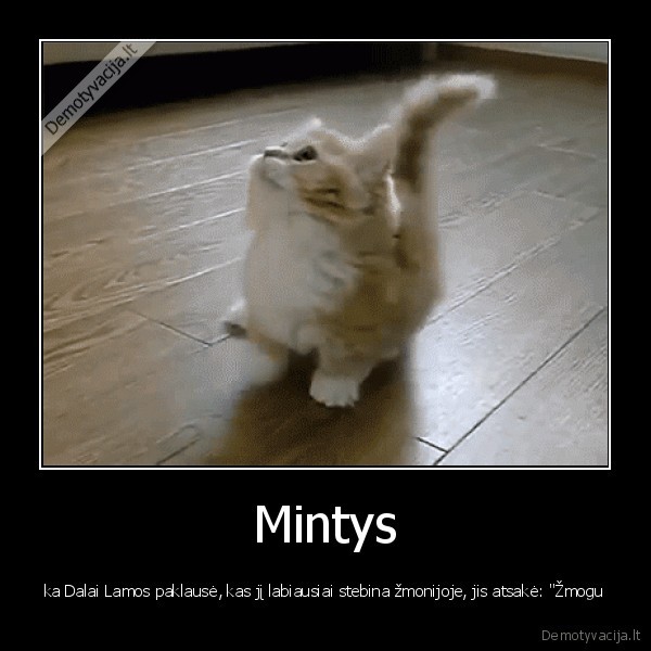 Mintys