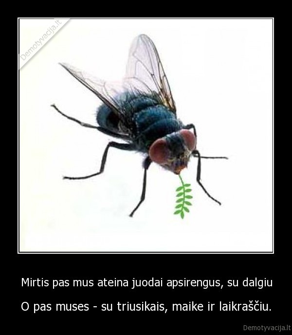 Mirtis pas mus ateina juodai apsirengus, su dalgiu