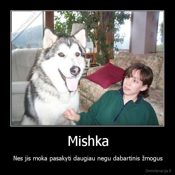 mishka, kalbantis, suo