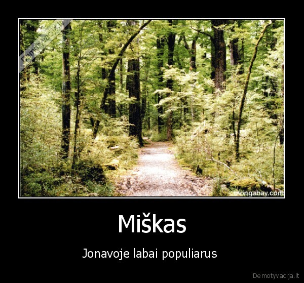Miškas
