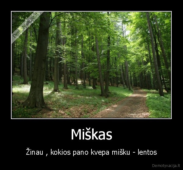 Miškas
