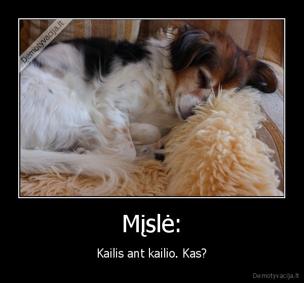 misle,kailis,miega,guli,misle,suo,suo