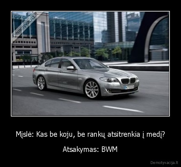 Mįslė: Kas be koju, be rankų atsitrenkia į medį?