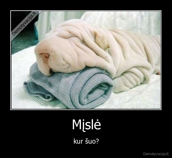 misle,suo