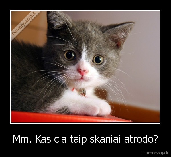 gyvunai,skanumas,skaniai,atrodo,kas,taip,mm