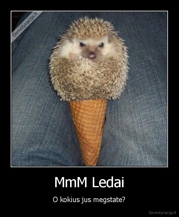 MmM Ledai