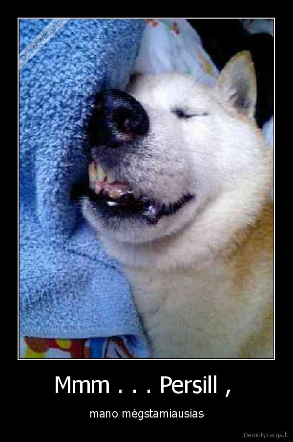 Mmm . . . Persill , 