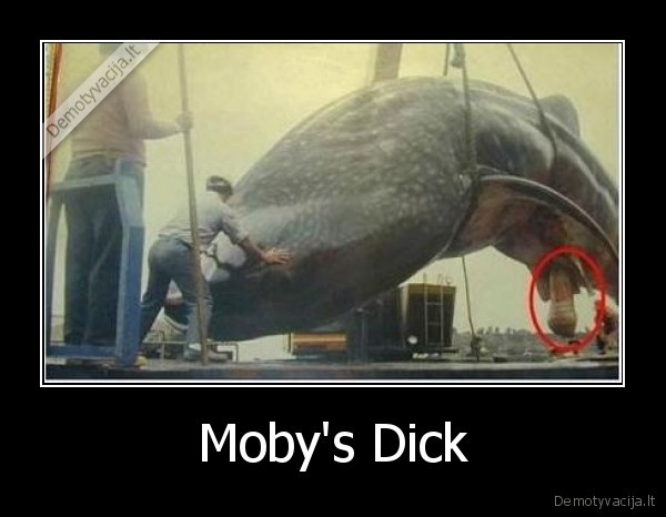 Moby's Dick