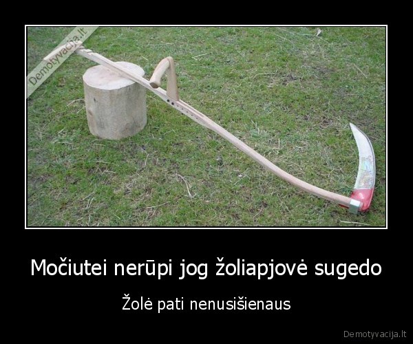zole,dalgis,zoliapjove,vasara,mociute