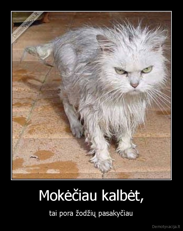 Mokėčiau kalbėt,