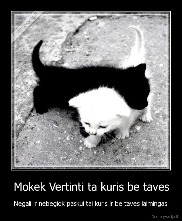 Mokek Vertinti ta kuris be taves