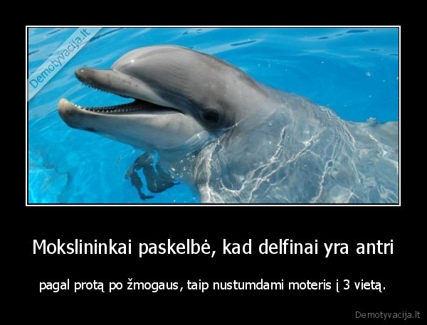 delfinas,moteris,protas