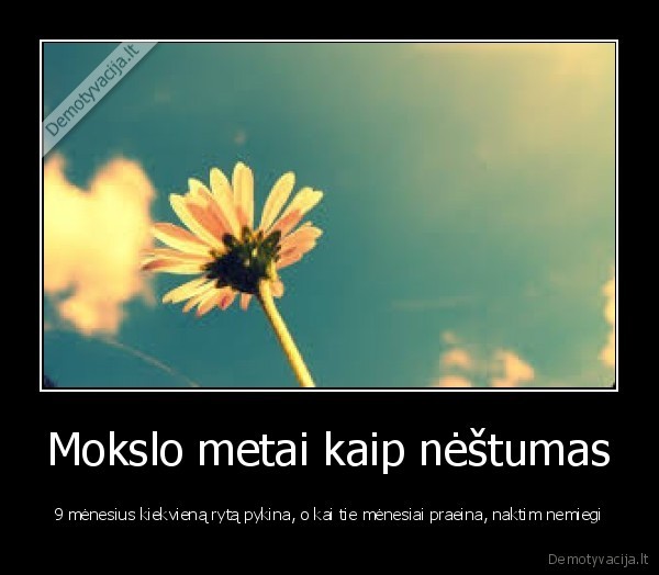 Mokslo metai kaip nėštumas