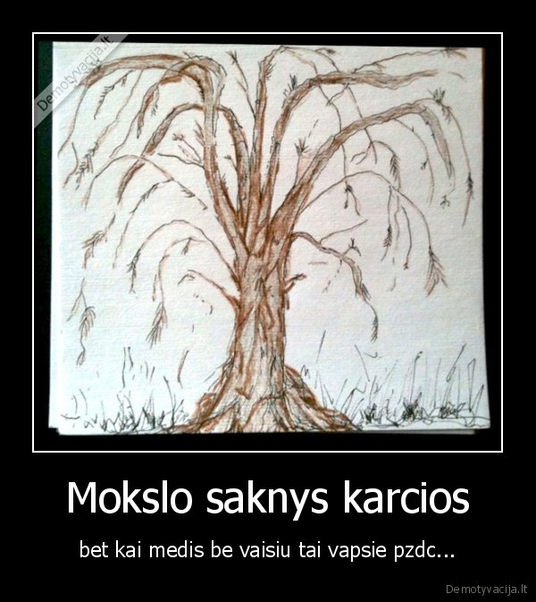 Mokslo saknys karcios