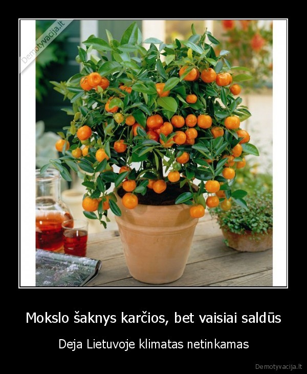 mokslas,lietuva,klimatas