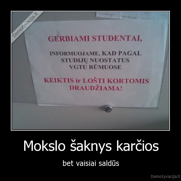 mokslas, universitetas