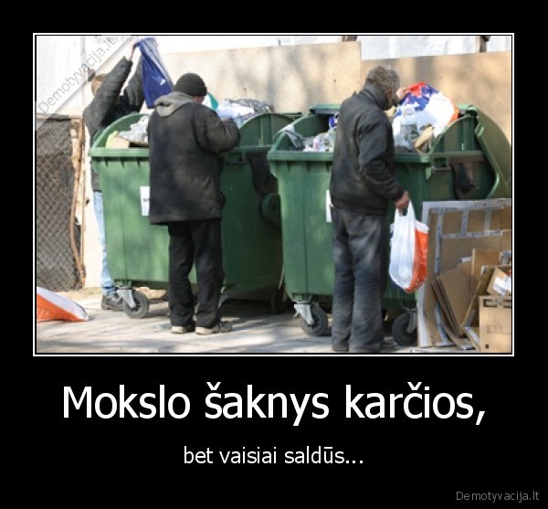 Mokslo šaknys karčios,