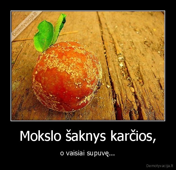 Mokslo šaknys karčios,