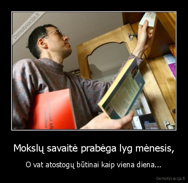 mokslai, darbas, viena, diena, menesis