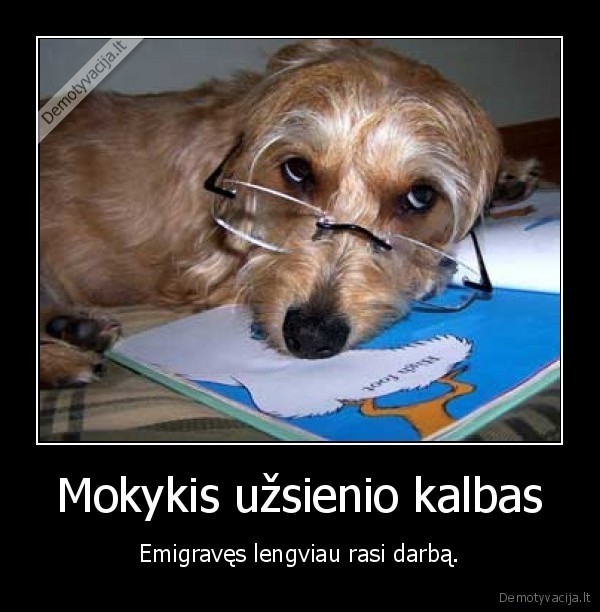 Mokykis užsienio kalbas