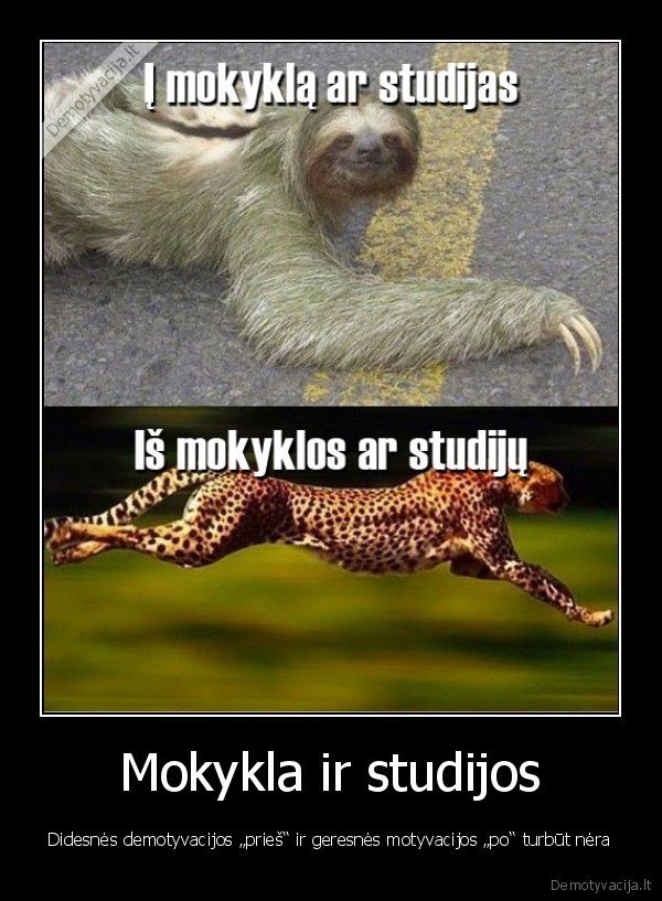 studijos, mokslai, mokykla, studentai, studentas