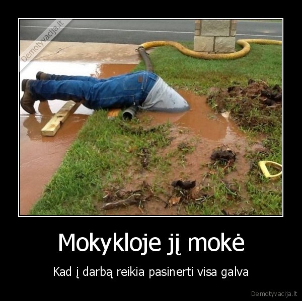 santechnikas,purvas,bala