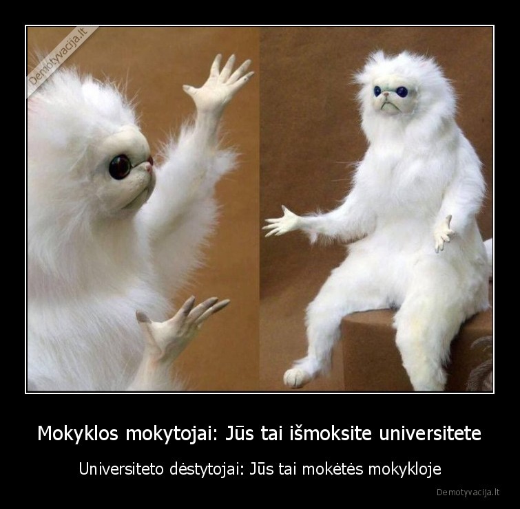 mokslai,universitetas,mokykla,mokytojai,destytojai,moketes