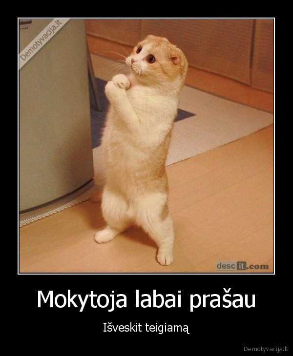 mokykla,prasymas,pazymiai