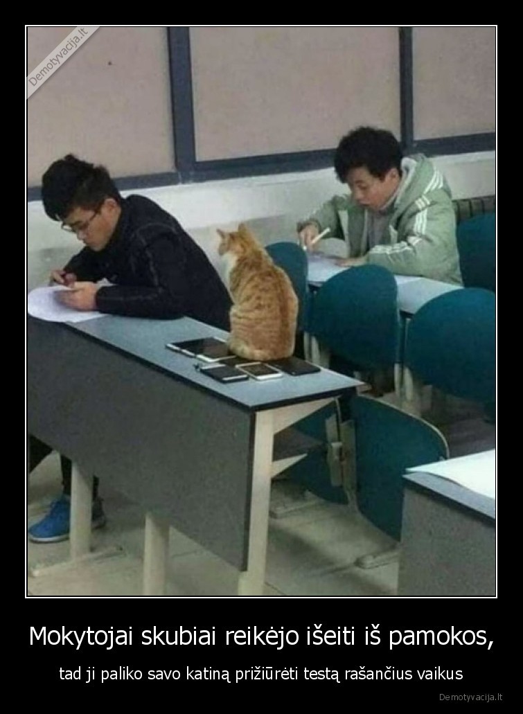 mokytoja,katinas,testas,mokykla