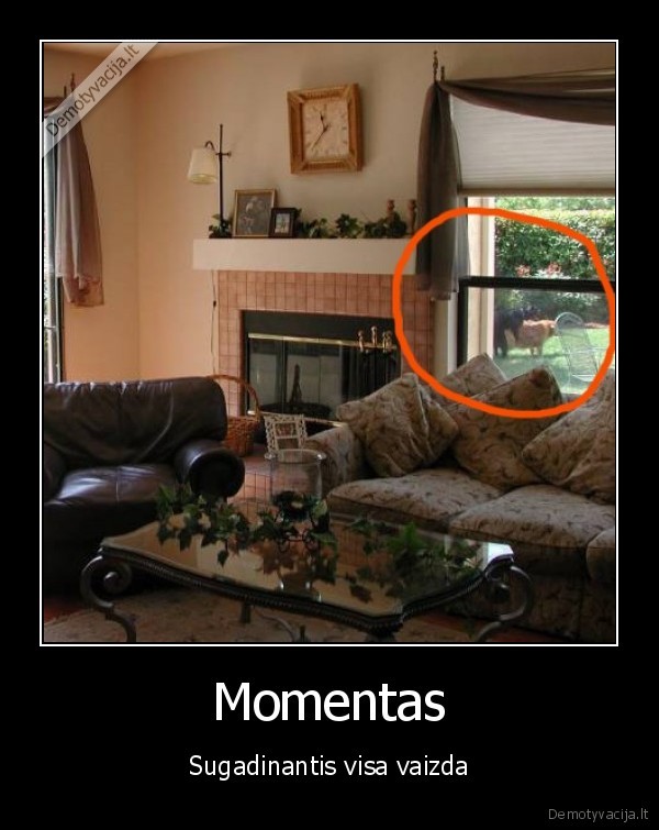 Momentas