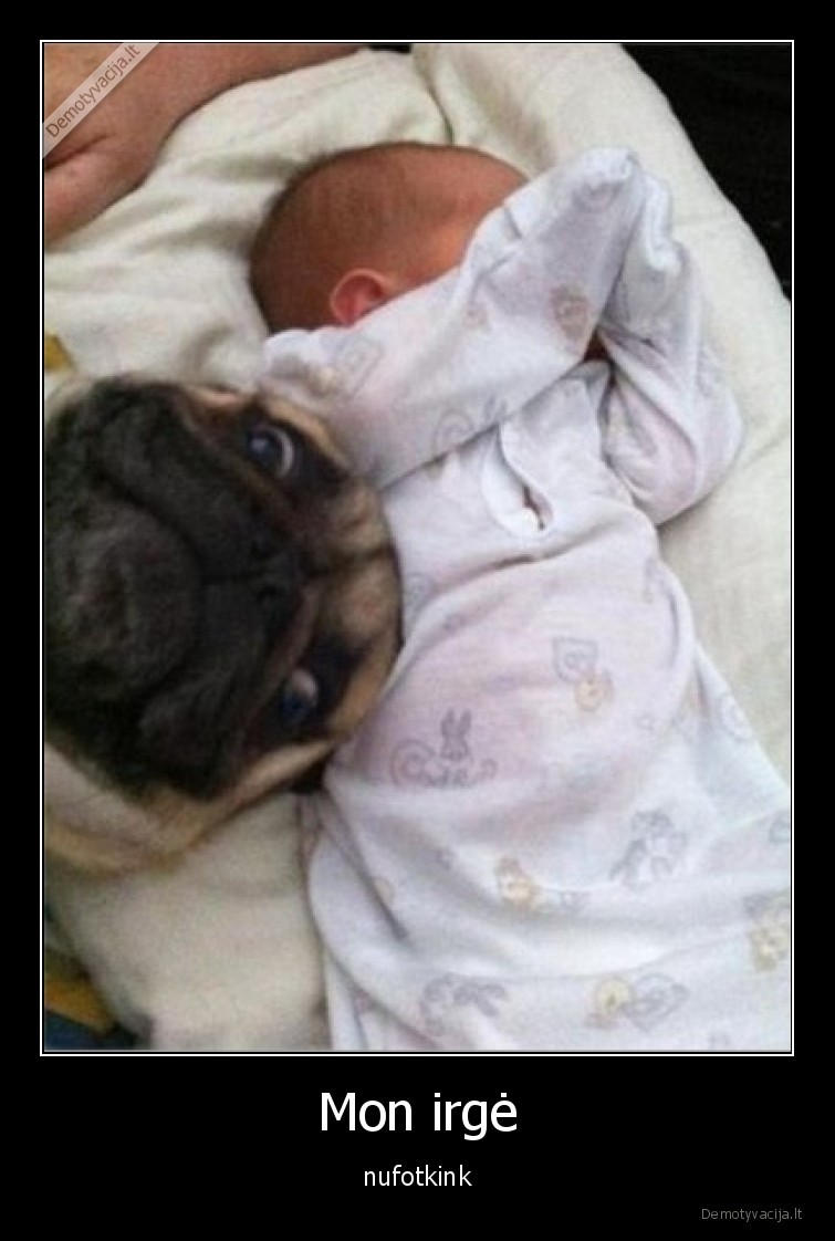 nuotrauka,vaikas,suo,pug,pozuoja