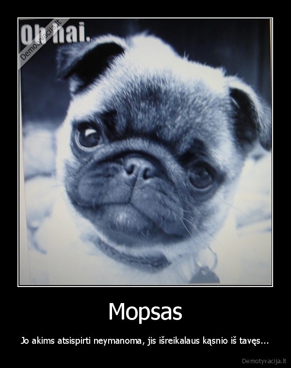 mopsas